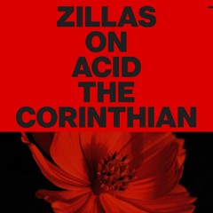 PREMIERE: Zillas On Acid - Dora  [Dischi Autuuno]