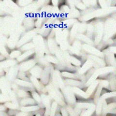 Sunflower_Seeds