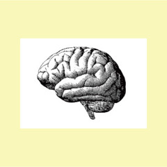 How to Recognise Time (excerpt)