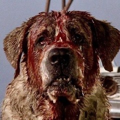 DEAD DAWG
