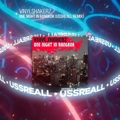 Vinylshakerz - One Night In Bangkok (Ussreall Remix)
