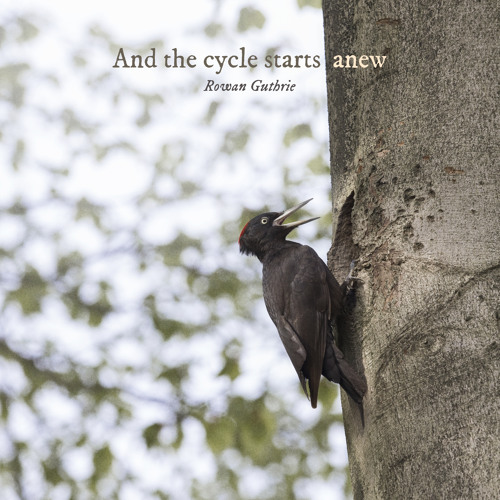 And the cycle starts anew