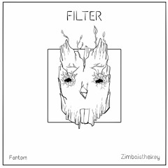 Zimbaisthekey Filter