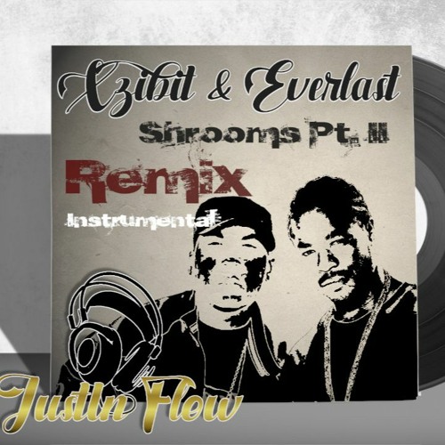 Xzibit & Everlast - Shroomz Pt. II (JustIn Flow Remix) Instrumental