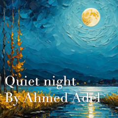 Quiet night