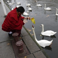 上师心咒私藏版 GNR Rinpoche's mantra 2015
