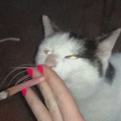 Woah (Prod.Stucklock)