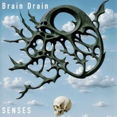 Brain Drain