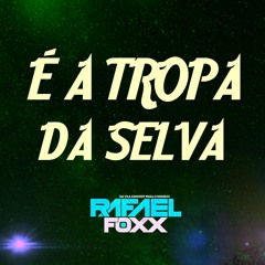 MC B7 E MC VC - É A TROPA DA SELVA - DJ RAFAEL FOXX - DJ RUAN DA VK - DJ RENNAN DA PENHA - SELVA