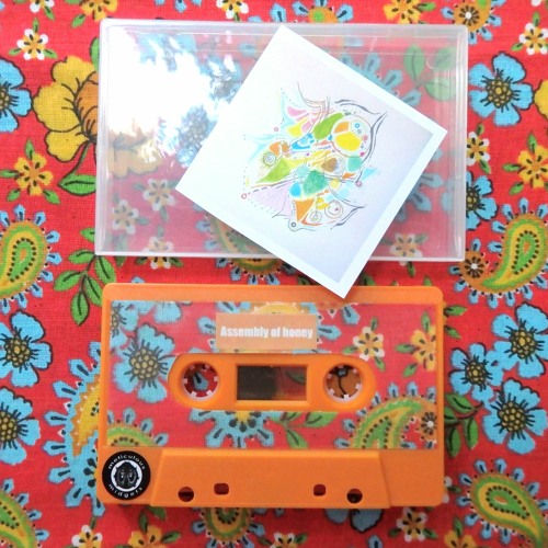 from: Positive opposition to common sense [live 24.03.2020] released in july 2021