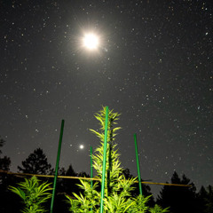 MidnightbluntSmoke (Prod.Ai & Righ)