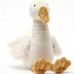 We Are Goose Feet