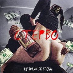 Не Такий Як Треба-Стерво (prod. by chamber)