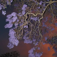 ETV RADIO (Vinyl Only)