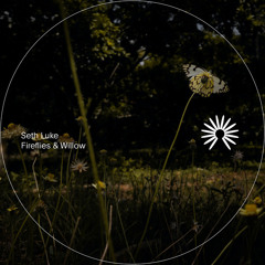 Willow (Instrumental Version)