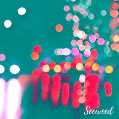 Midnight Passion