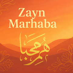 DJ Maydonoz & TNCH - Marhaba