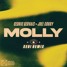 Molly - Joel Corry (Sebi Remix)