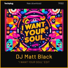 Armand Van Helden - I Want Your Soul (DJ Matt Black Edit) [Free DL]