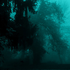 Mystic Inside