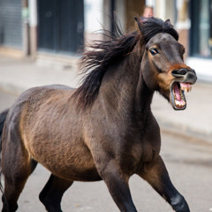 Like a horse on coke