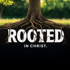 The Power of Your Words | Rooted in Christ Part 4 | 09.27.25 | Dave and Ashley Willis