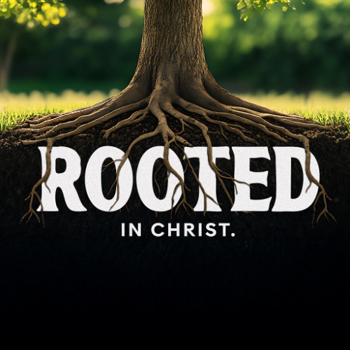 Honoring God with Your Body | Rooted in Christ Part 3 | 09.20.25 | Graeme Golding