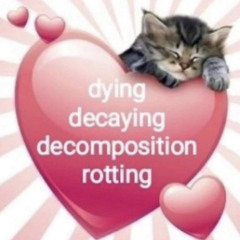 sad slur gxldxnchxld