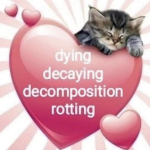 sad slur gxldxnchxld