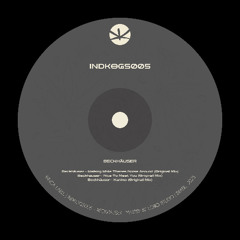 INDKOGS005 - Beckhäuser - Walking While There's Noise Around (Original Mix)
