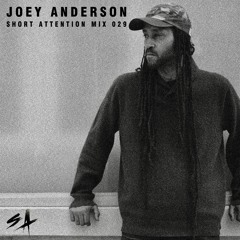 Short Attention Mix 029 by Joey Anderson