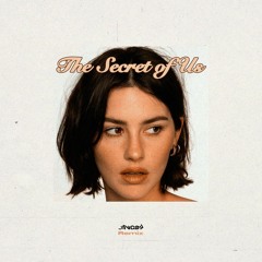 Gracie Abrams - Risk (JINGBY Remix)