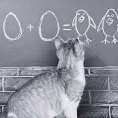 Whiskers of Wisdom: How a Stray Cat Rebuilt My Trust