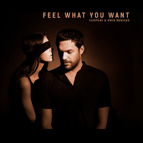 Premiere: Phonique ft. Rebecca - Feel What You Want (Fairplay Remix) [Zatar Music]