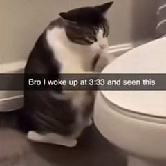 Don’t Mean a Thing if it Ain’t Got That Swing TikTok Compilation and Remix Credits in Description