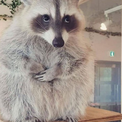 inside elma’s head