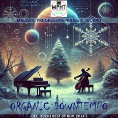 DJ MPHT ORGANIC DOWNTEMPO DECEMBER BEST OF NOVEMBER 2024 MIX MIXTAPE