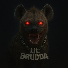 LilBrudda