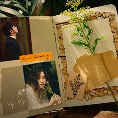 Tuổi Đá Buồn (St Trịnh Công Sơn) - Vy Vy ft Đại Dương