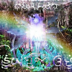 nightvoid☆