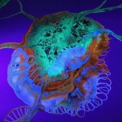 Blues . (Prod. QuaXaR)