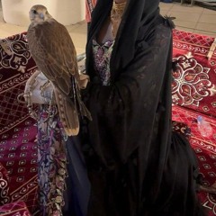 طير مبرقع