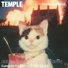 temple live cats and club