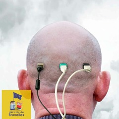 Boussole stratégique (II) : Faire face aux menaces hybrides.