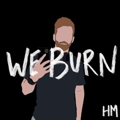 We Burn (Faster Than Light) - Avicii [Cover]