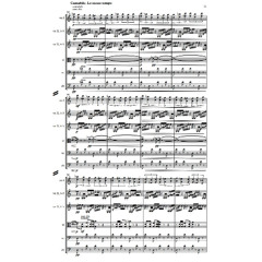 Pawel Strzelecki: 1. Opening [Symphony for String Orchestra No. 2 (2025)].