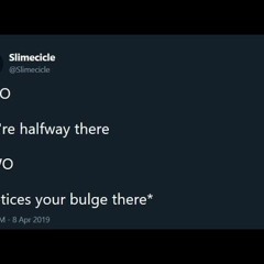 I Made A Tweet About Furries