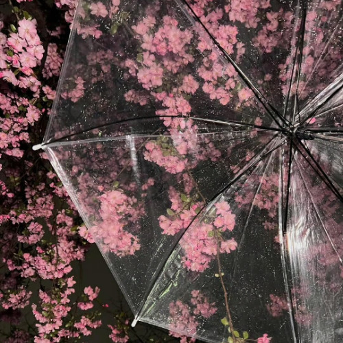 ffadedfaces (prod. evanson)