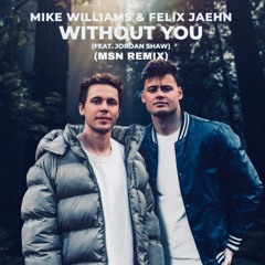 Mike Williams & Felix Jaehn - Without You Ft. Jordan Shaw (MSN Remix)