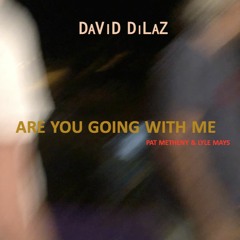 are you going with me (cover from Pat Metheny and Lyle Mays)